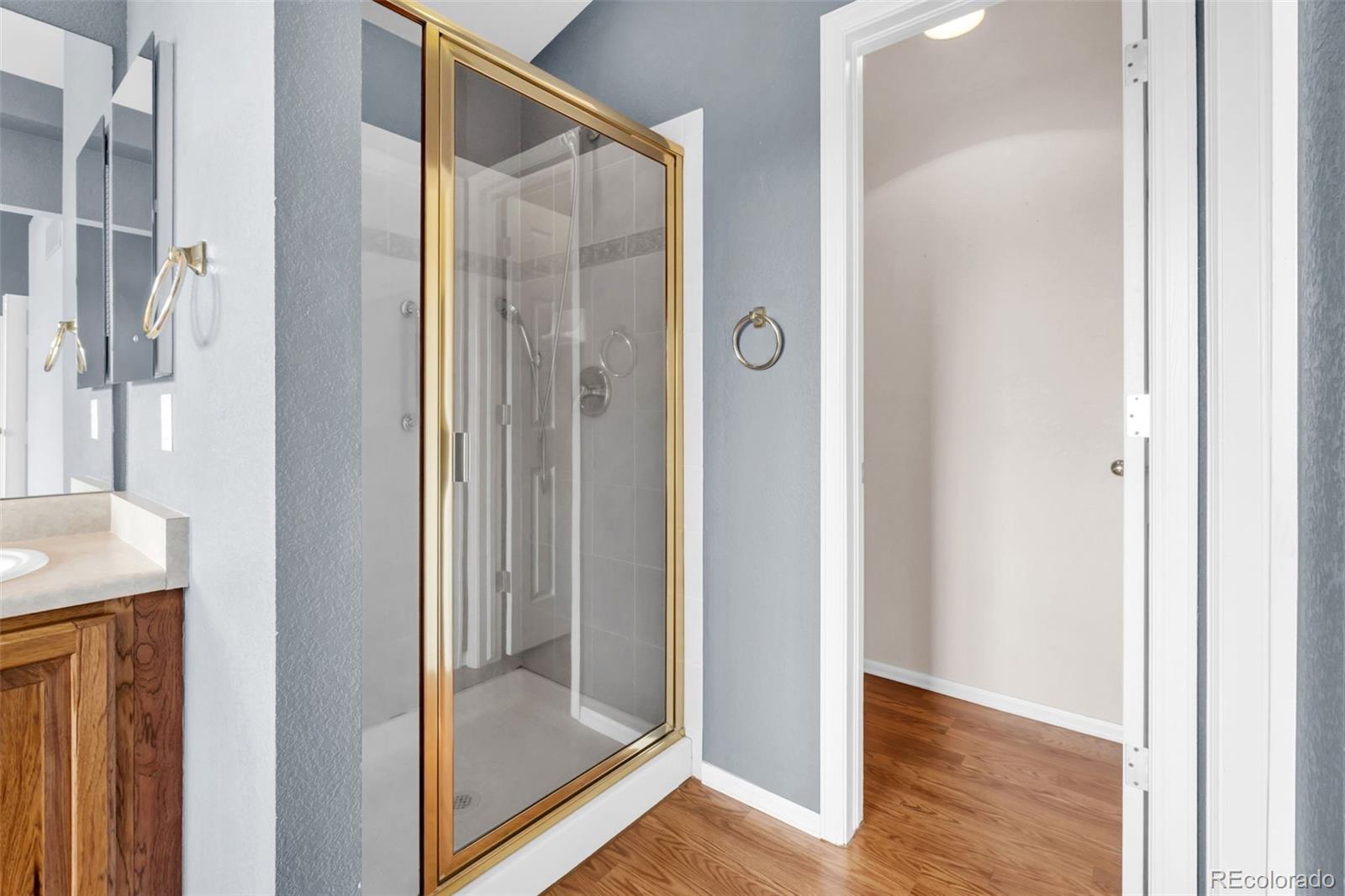 MLS Image #18 for 1048  switch grass drive,castle rock, Colorado