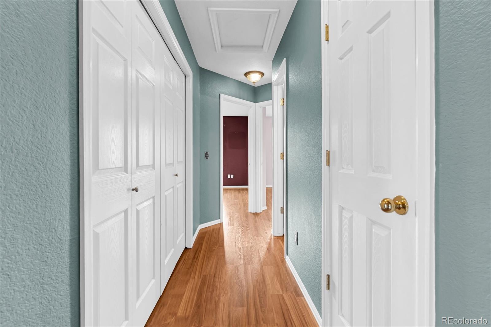 MLS Image #20 for 1048  switch grass drive,castle rock, Colorado