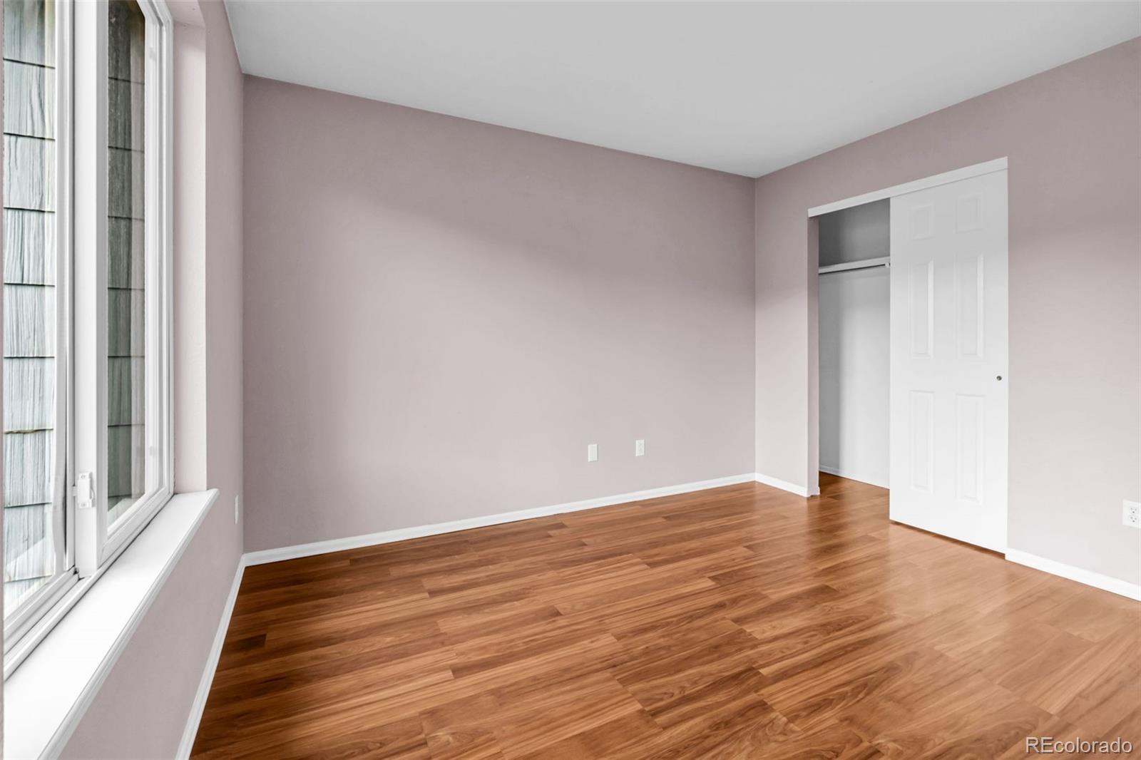 MLS Image #27 for 1048  switch grass drive,castle rock, Colorado