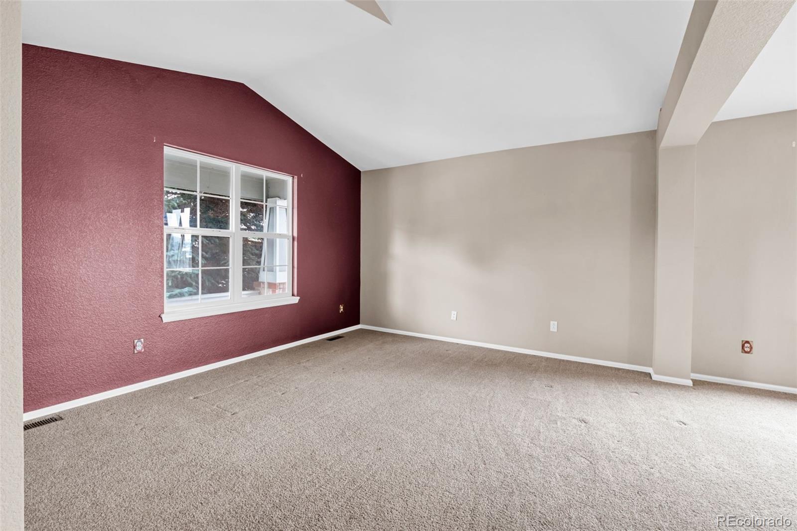 MLS Image #6 for 1048  switch grass drive,castle rock, Colorado