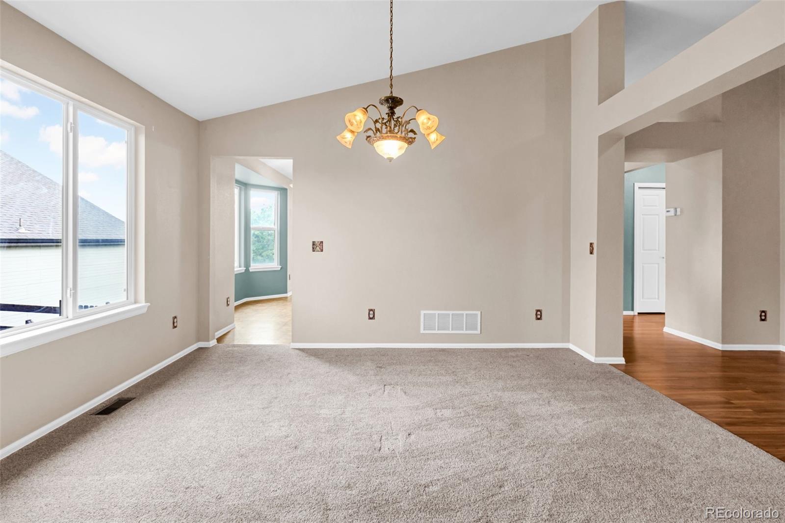 MLS Image #7 for 1048  switch grass drive,castle rock, Colorado
