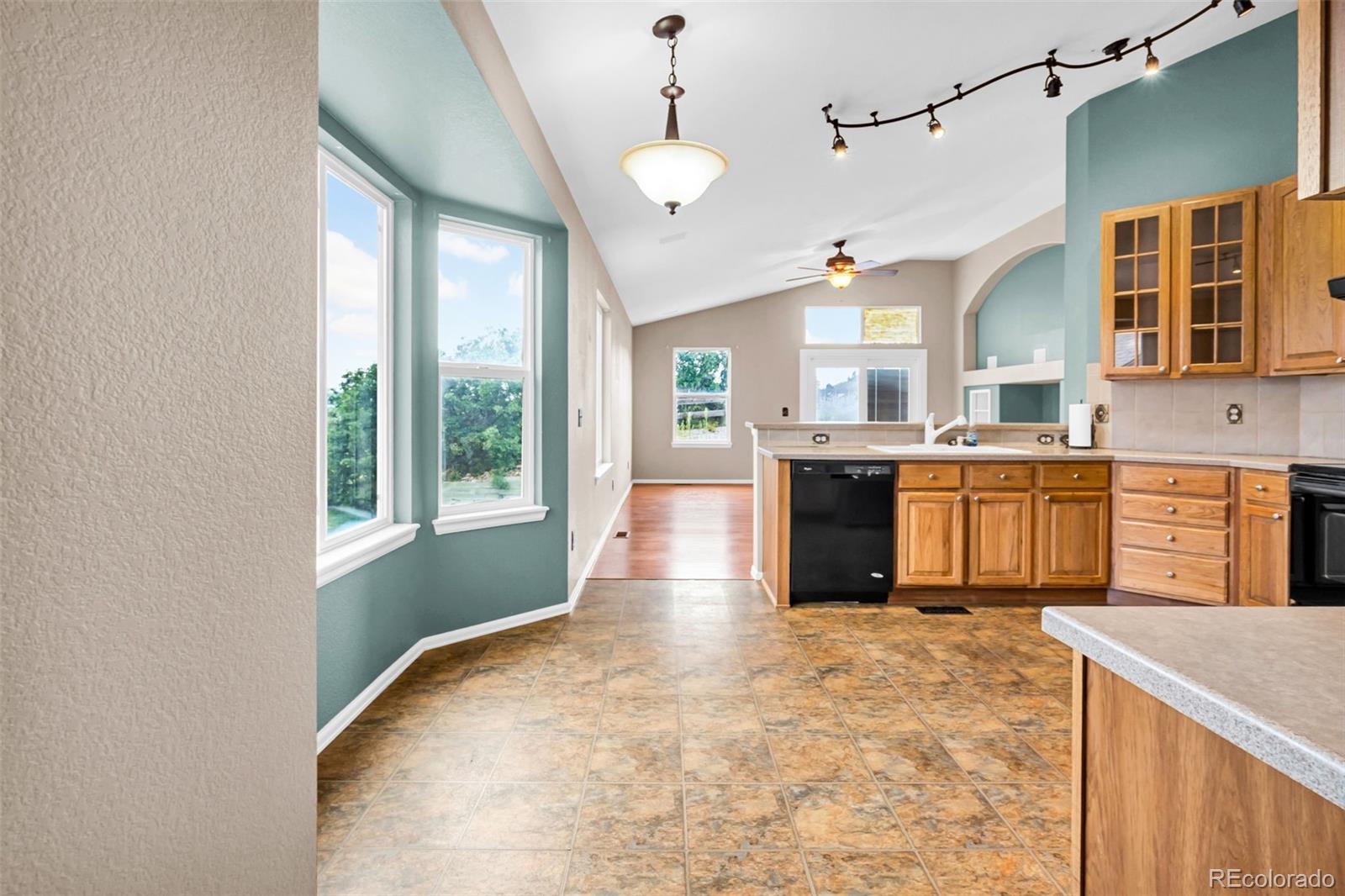 MLS Image #8 for 1048  switch grass drive,castle rock, Colorado