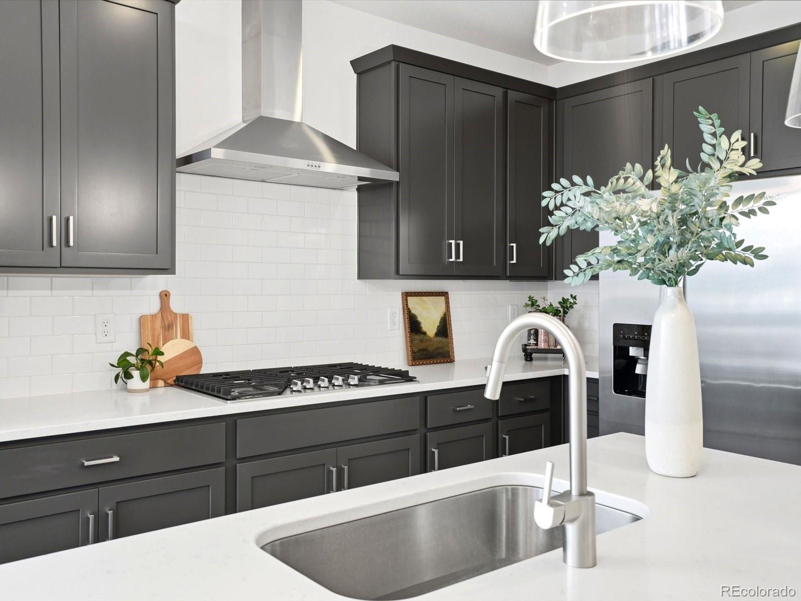 MLS Image #13 for 9719  browns peak circle,littleton, Colorado