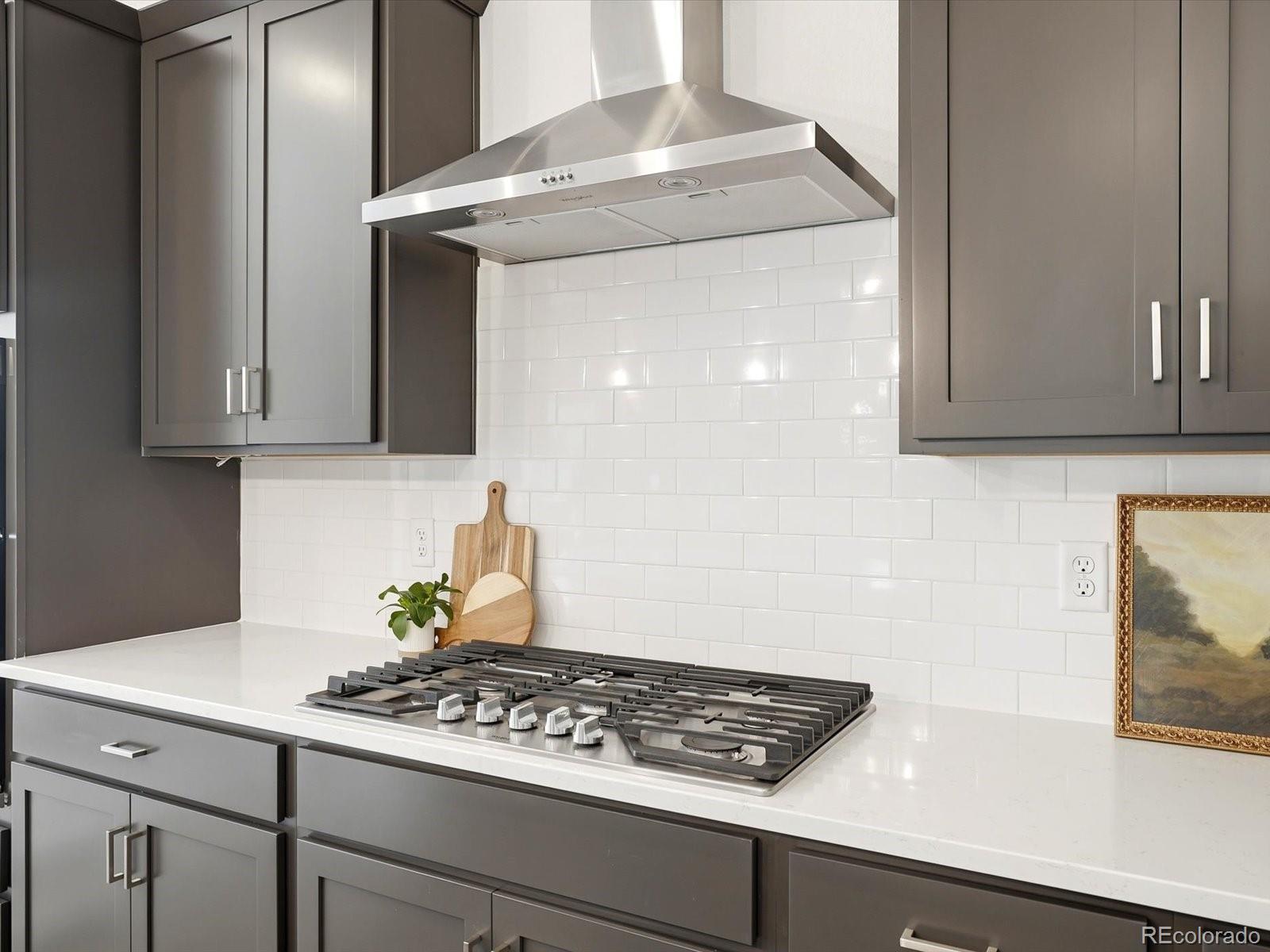 MLS Image #14 for 9719  browns peak circle,littleton, Colorado
