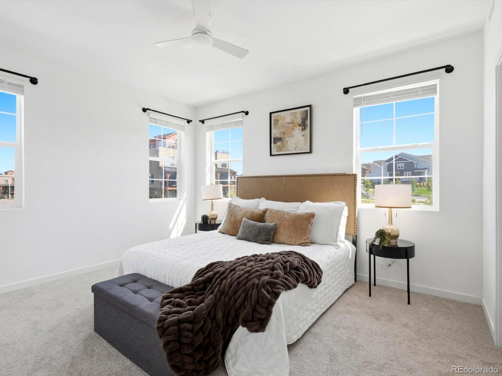 MLS Image #18 for 9719  browns peak circle,littleton, Colorado