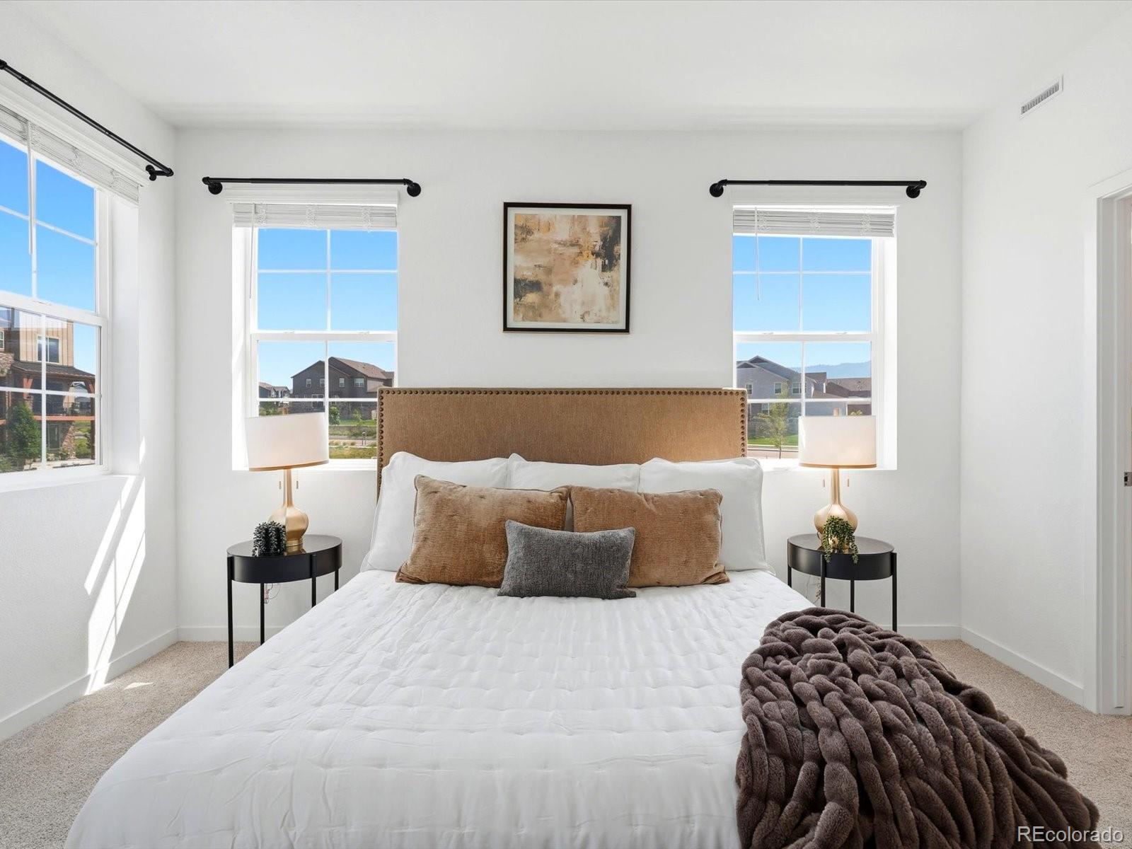 MLS Image #21 for 9719  browns peak circle,littleton, Colorado