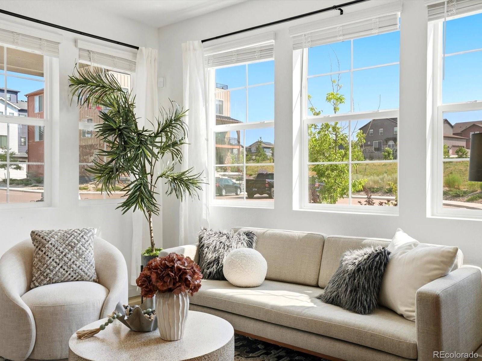 MLS Image #6 for 9719  browns peak circle,littleton, Colorado