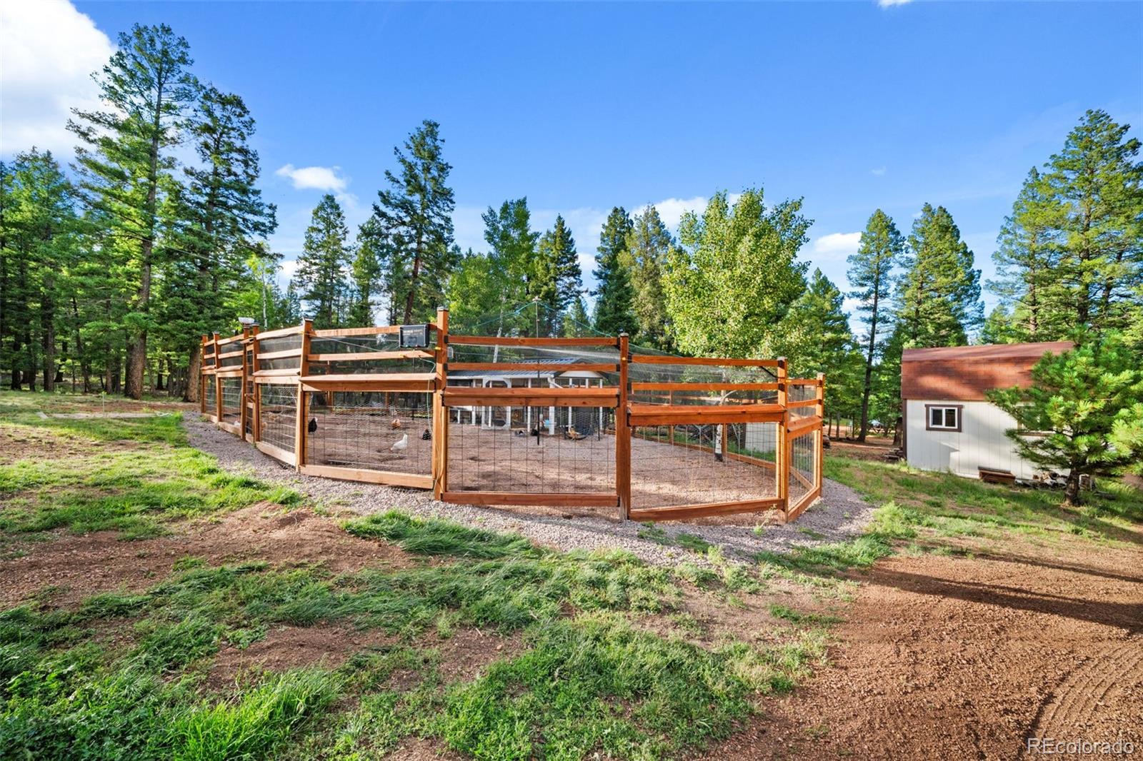MLS Image #34 for 1933  county road 782 ,woodland park, Colorado