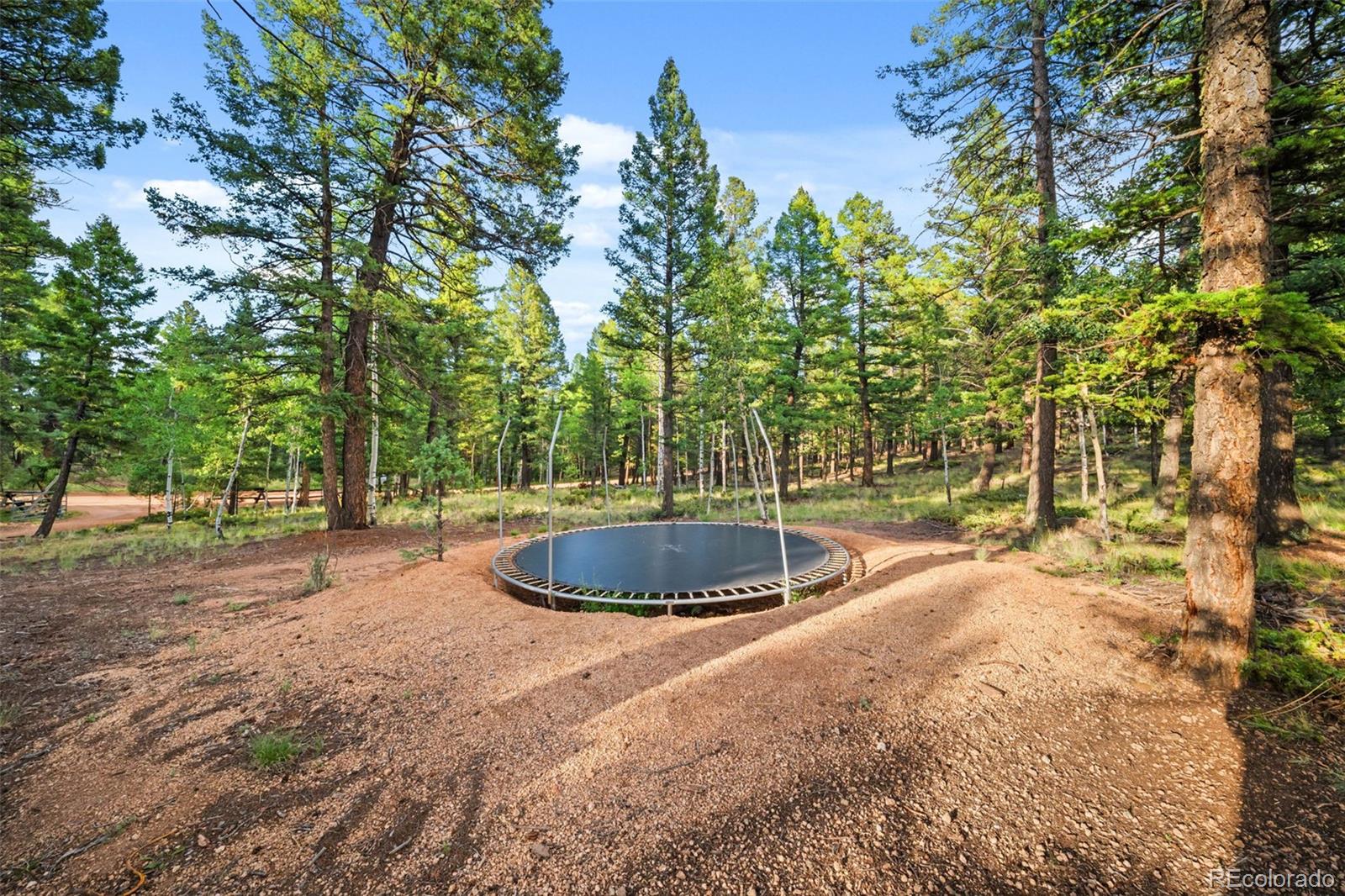MLS Image #41 for 1933  county road 782 ,woodland park, Colorado