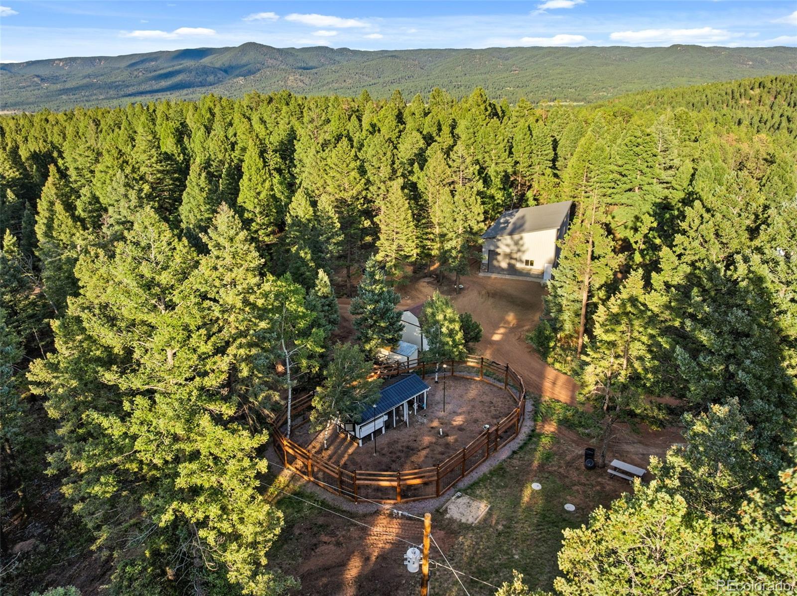 MLS Image #42 for 1933  county road 782 ,woodland park, Colorado