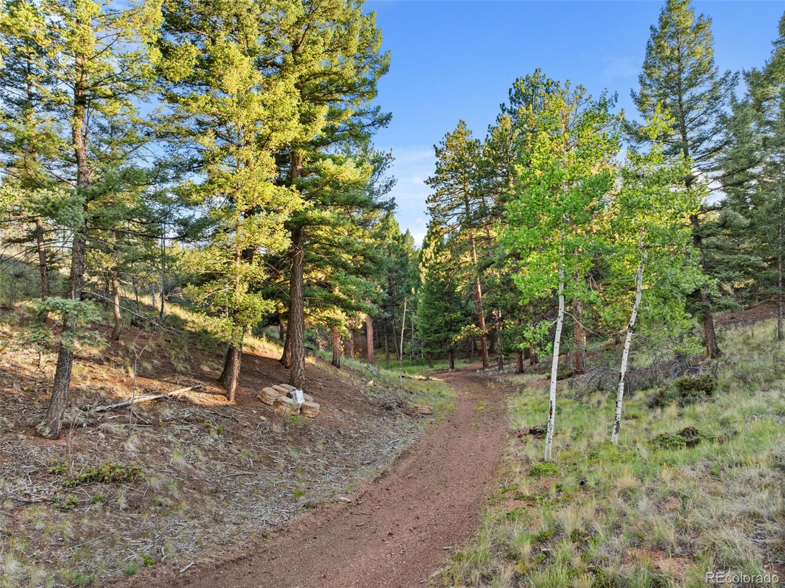 MLS Image #43 for 1933  county road 782 ,woodland park, Colorado