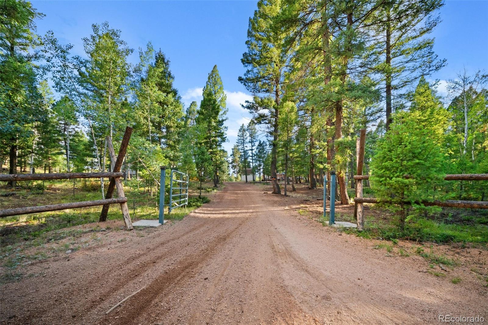 MLS Image #44 for 1933  county road 782 ,woodland park, Colorado