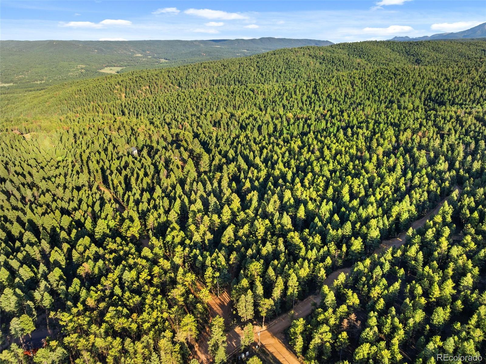 MLS Image #46 for 1933  county road 782 ,woodland park, Colorado