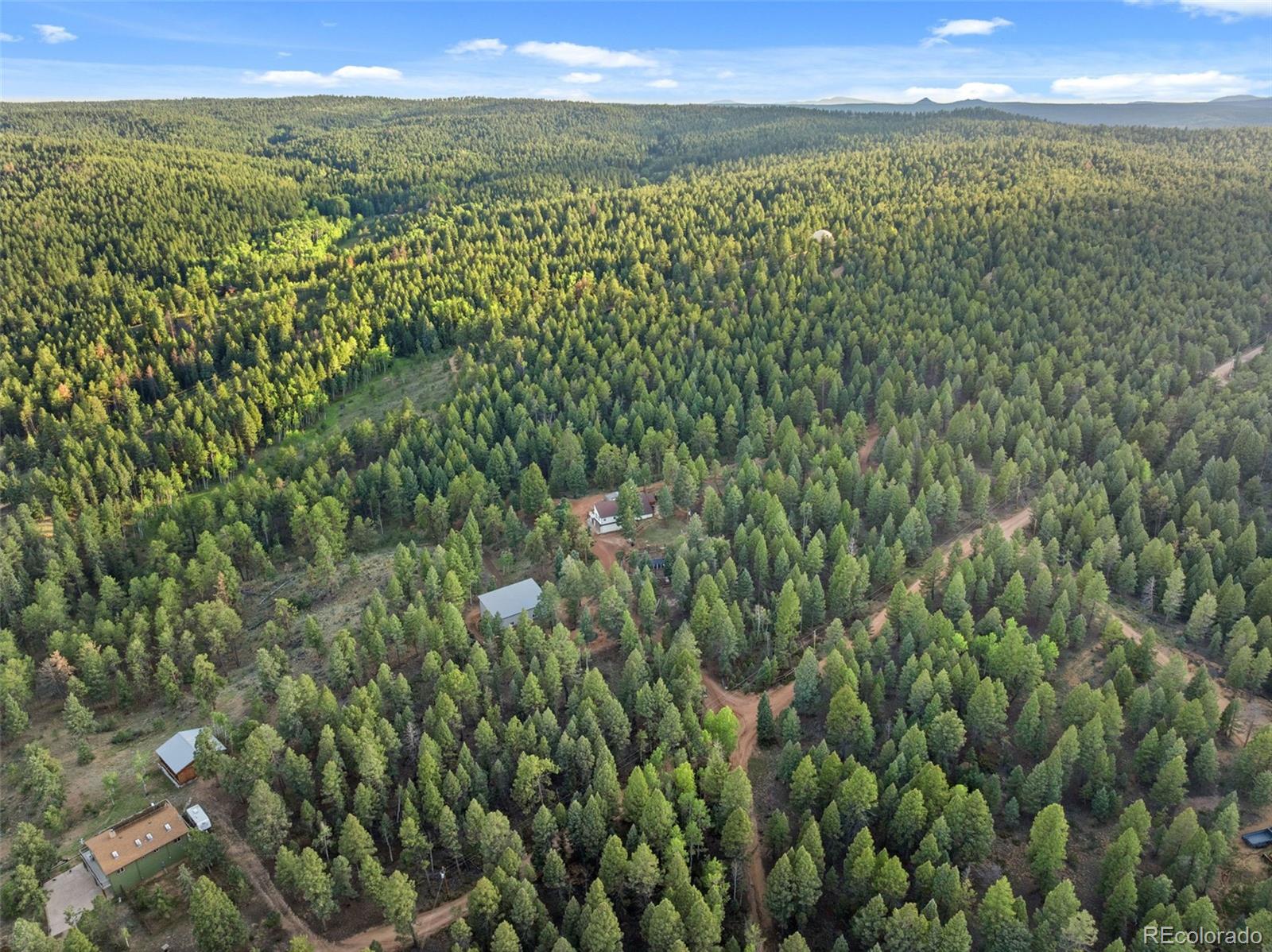 MLS Image #48 for 1933  county road 782 ,woodland park, Colorado