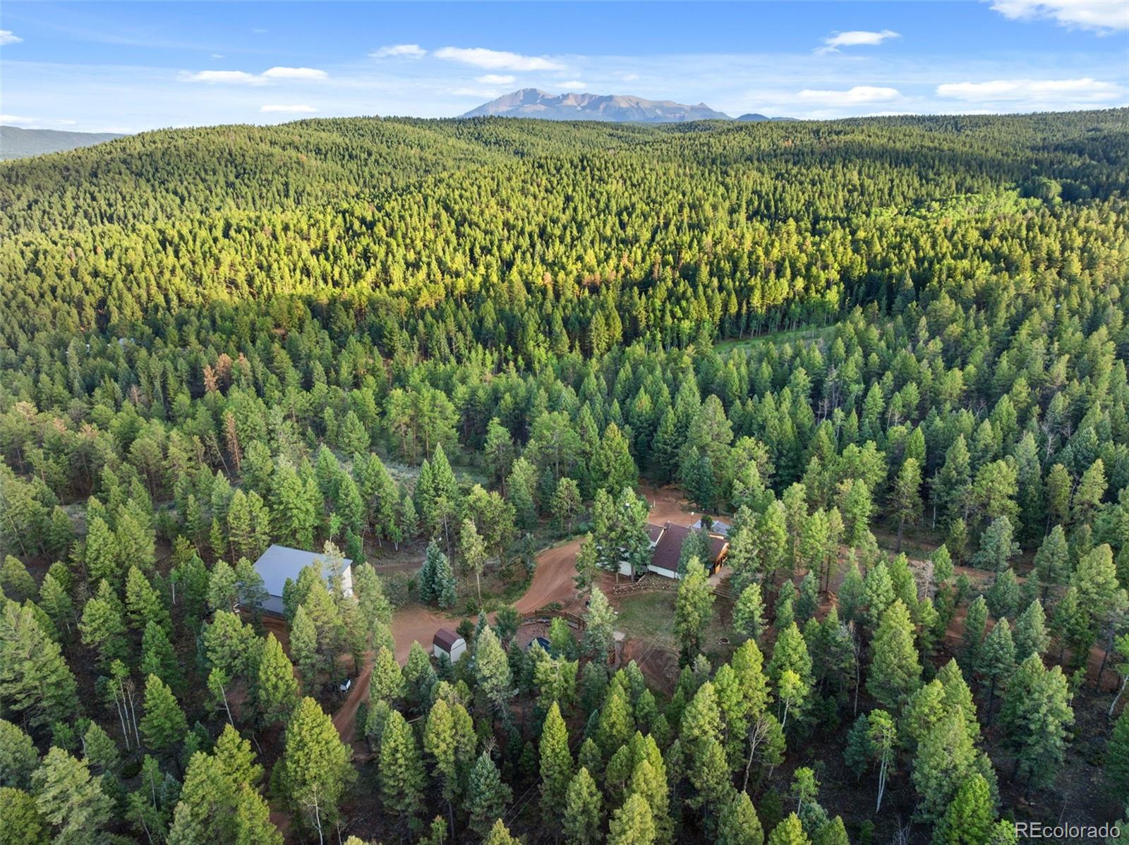 MLS Image #49 for 1933  county road 782 ,woodland park, Colorado