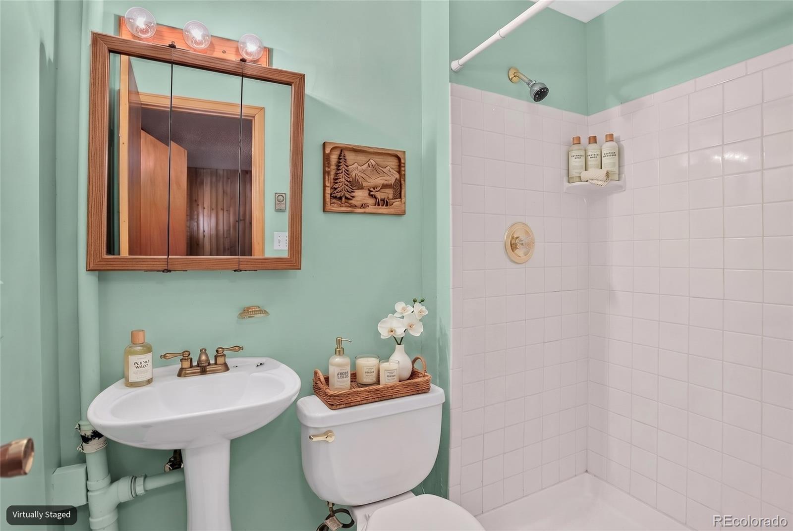MLS Image #17 for 31788  chalet drive,conifer, Colorado