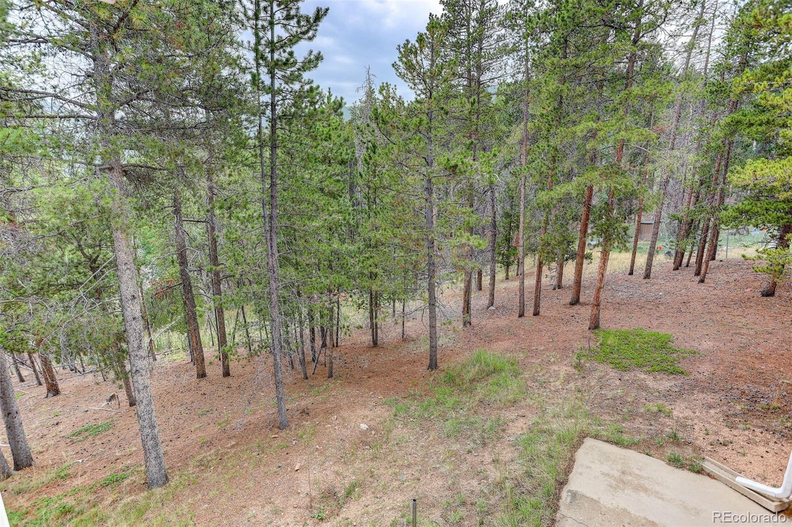 MLS Image #39 for 31788  chalet drive,conifer, Colorado