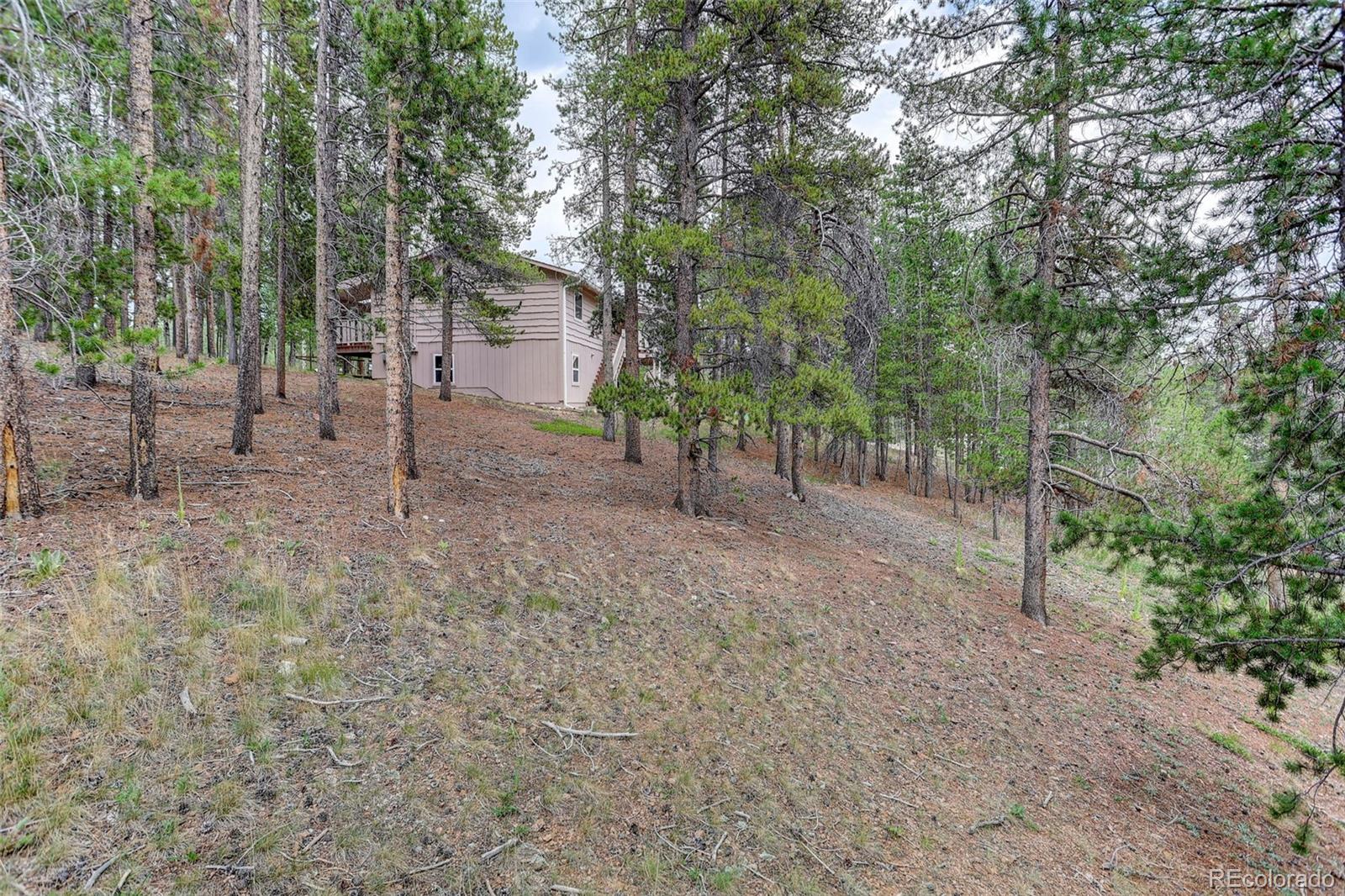 MLS Image #40 for 31788  chalet drive,conifer, Colorado