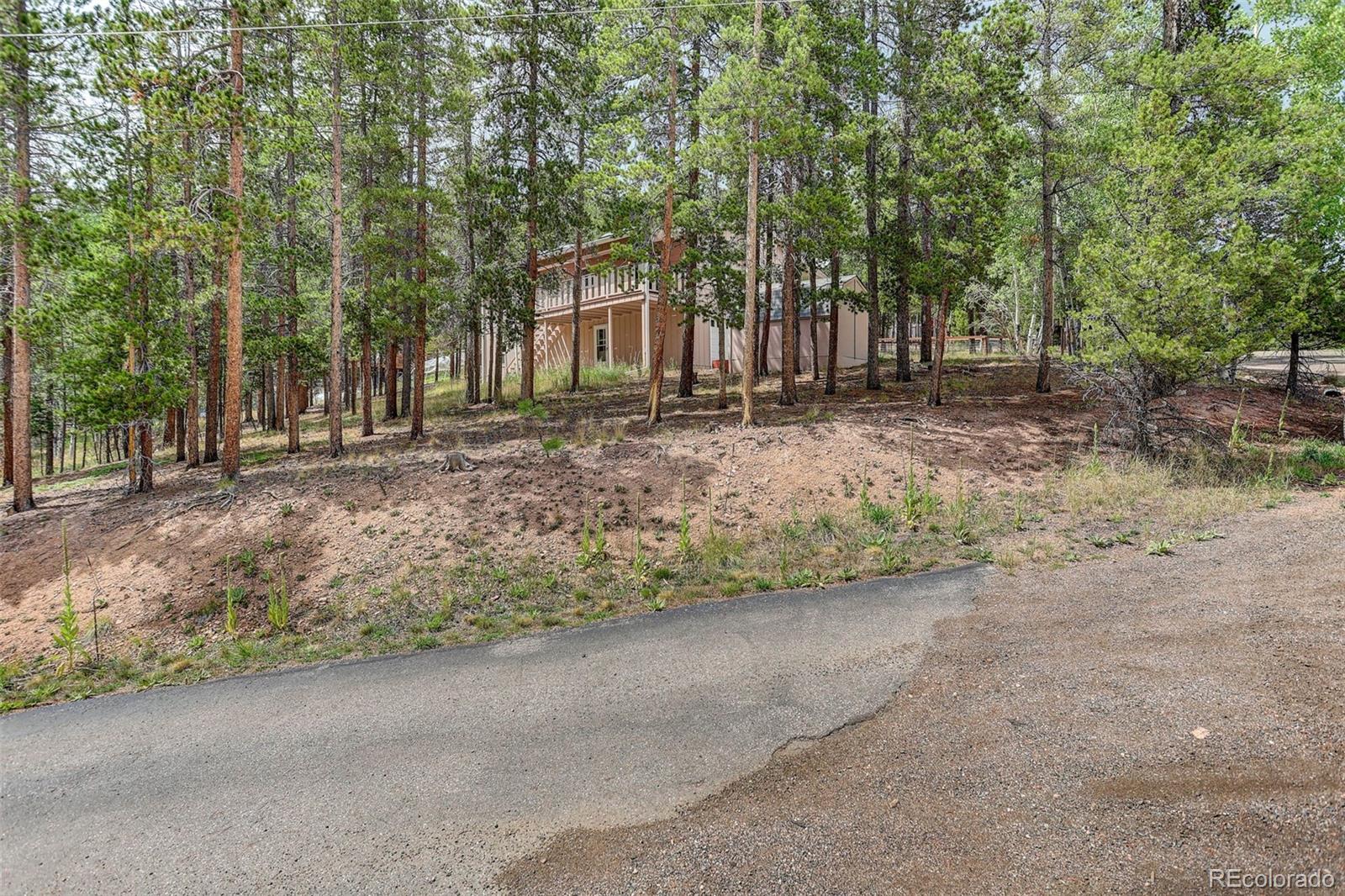 MLS Image #41 for 31788  chalet drive,conifer, Colorado