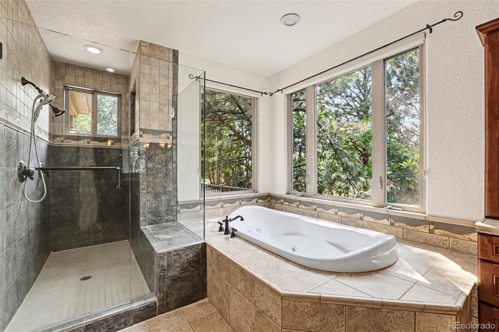 MLS Image #21 for 9132  scenic pine drive,parker, Colorado