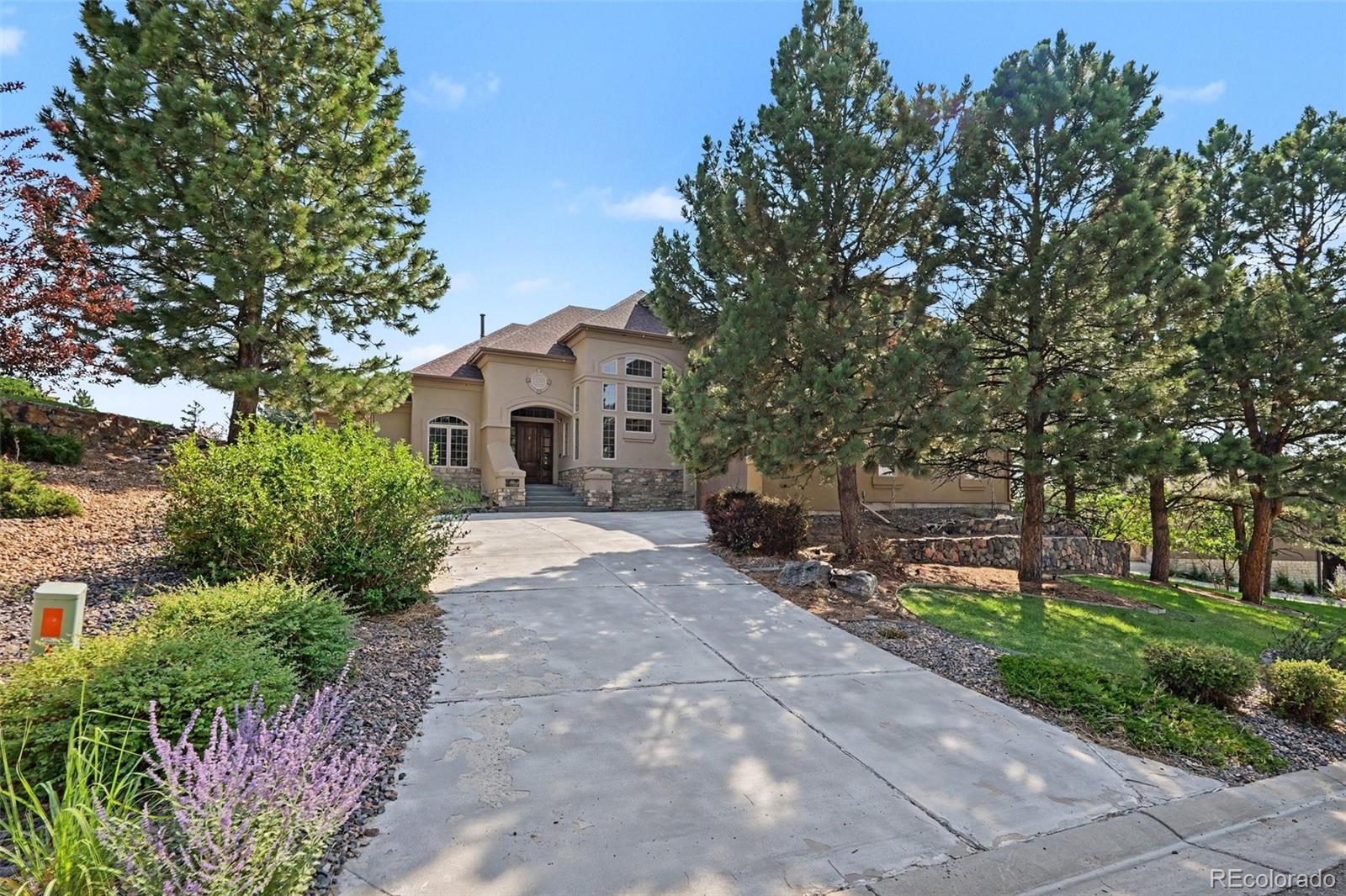 MLS Image #3 for 9132  scenic pine drive,parker, Colorado