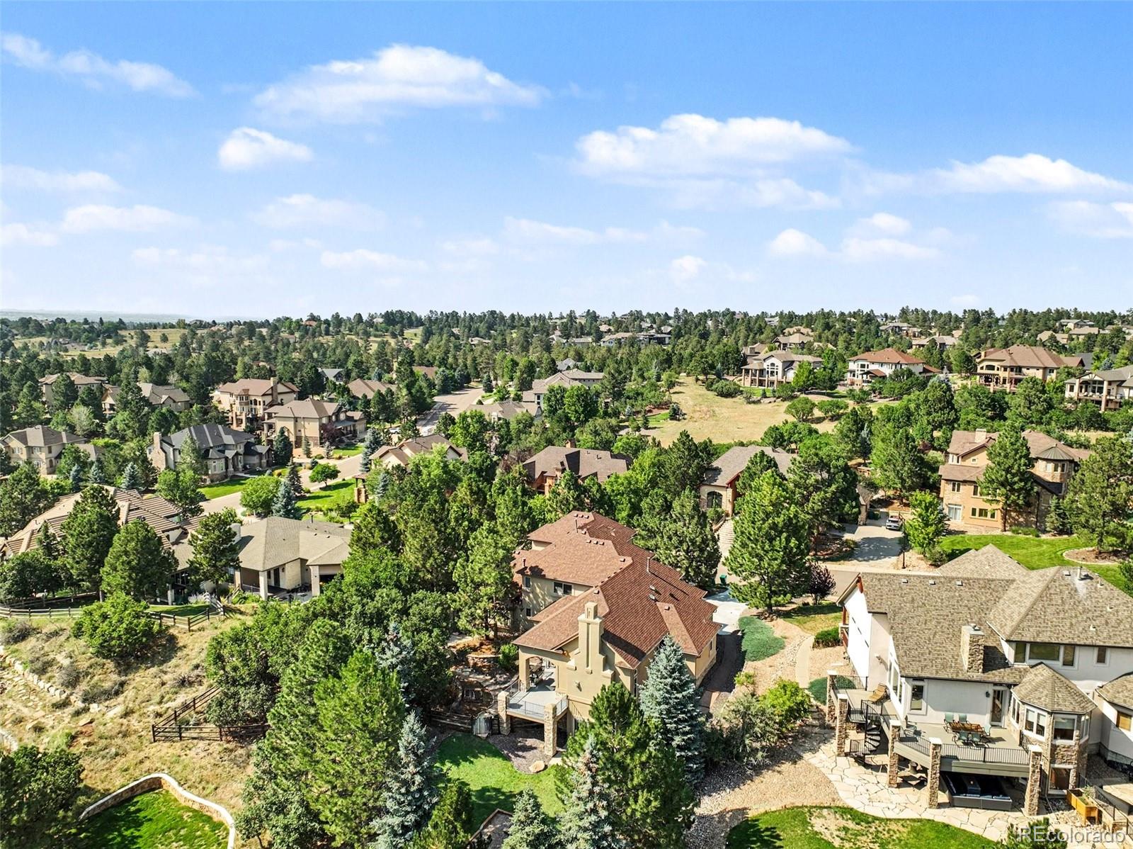 MLS Image #43 for 9132  scenic pine drive,parker, Colorado