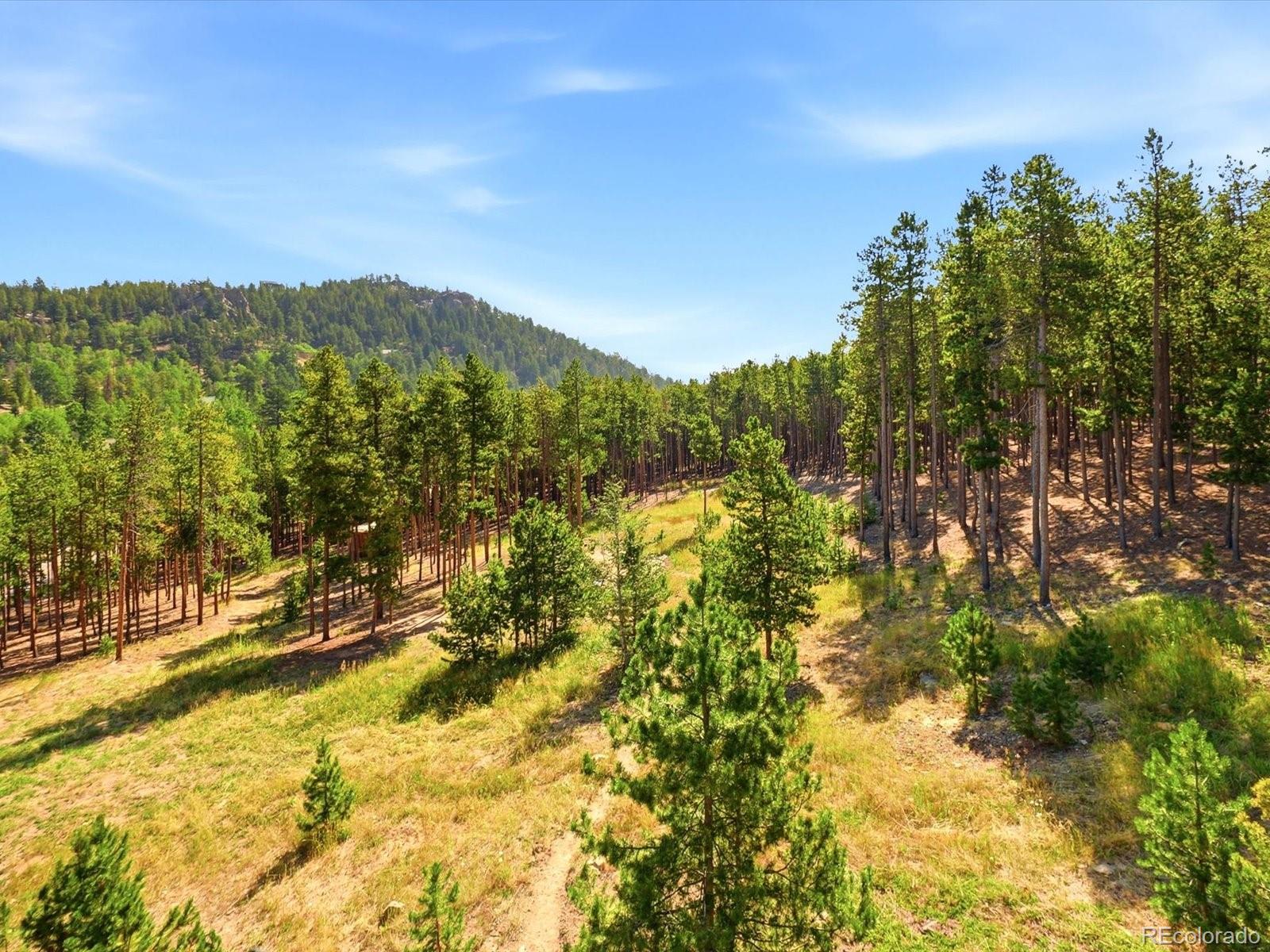 MLS Image #35 for 10594  crystal drive,morrison, Colorado