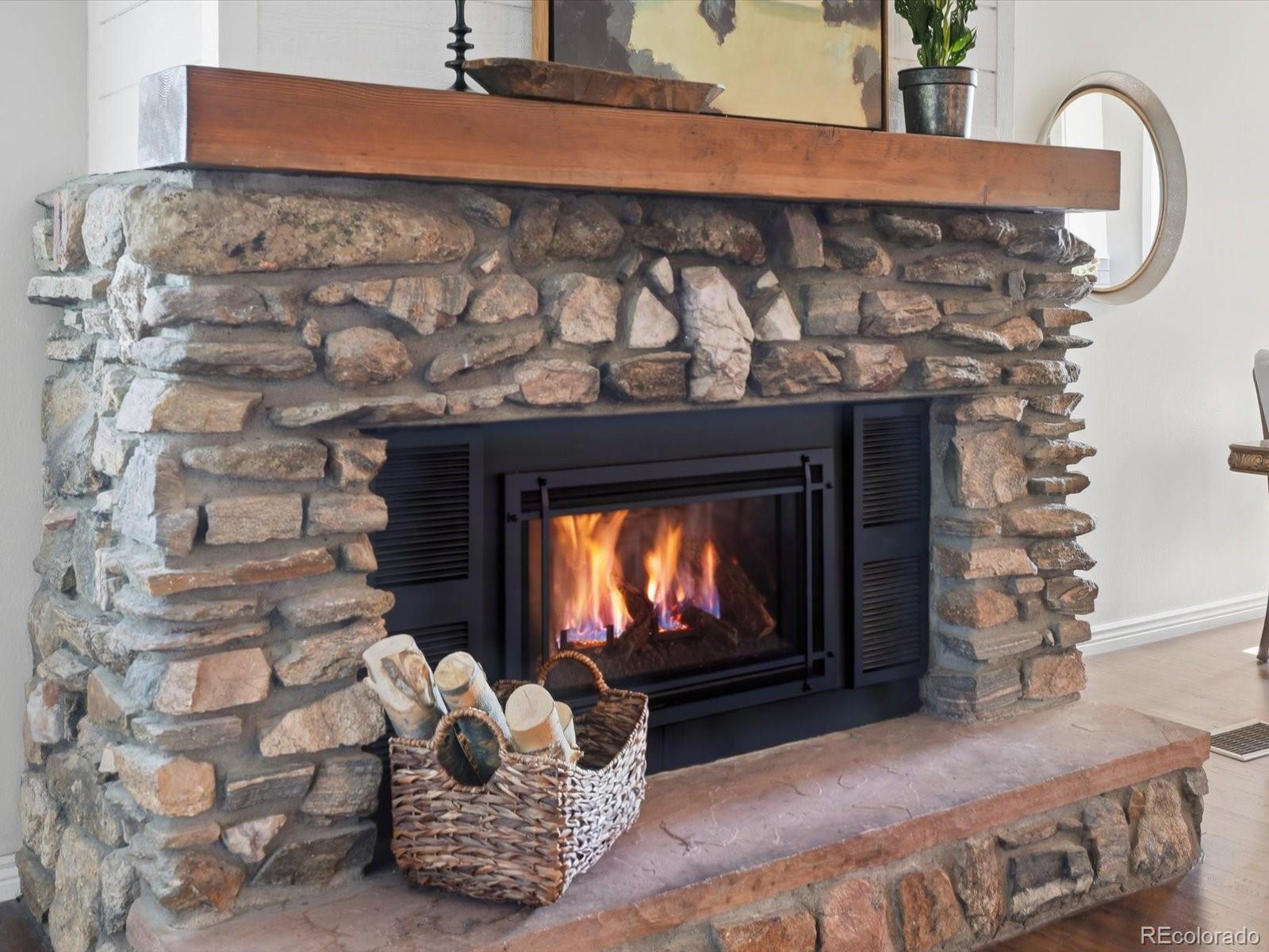 MLS Image #4 for 10594  crystal drive,morrison, Colorado