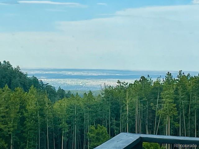 MLS Image #42 for 10594  crystal drive,morrison, Colorado