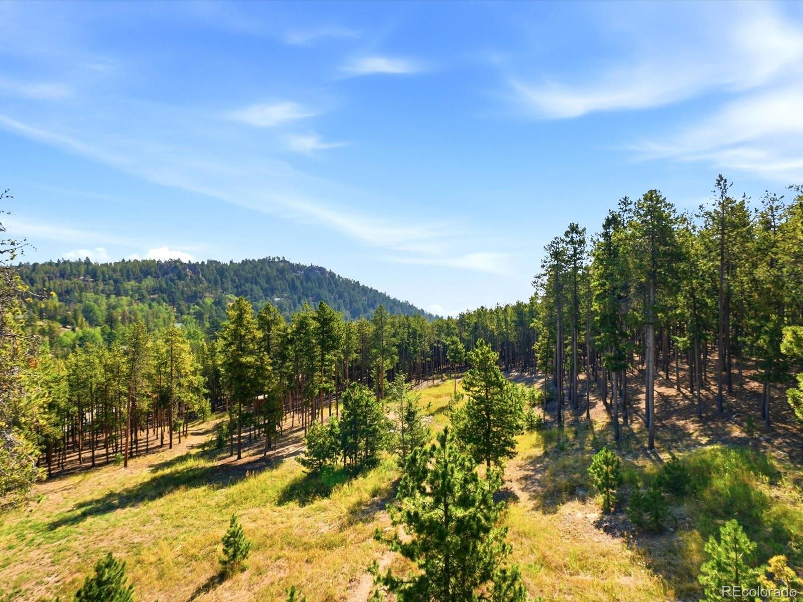 MLS Image #8 for 10594  crystal drive,morrison, Colorado