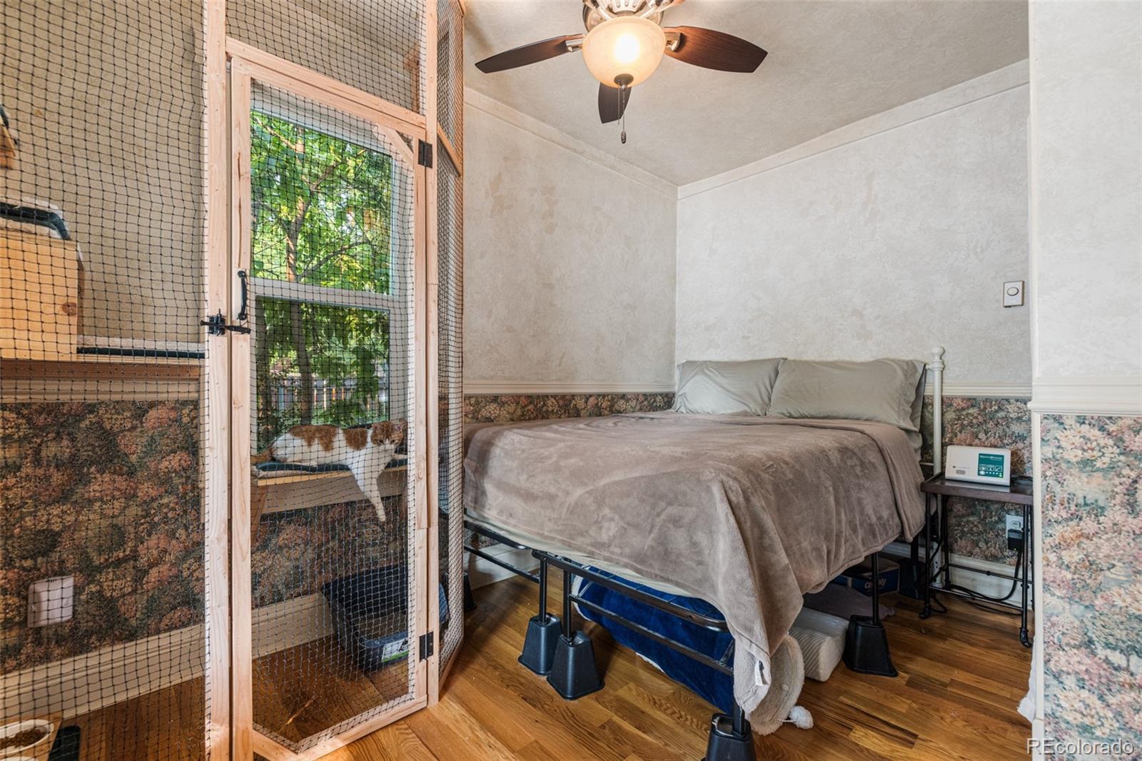 MLS Image #10 for 114 n 16th street,colorado springs, Colorado