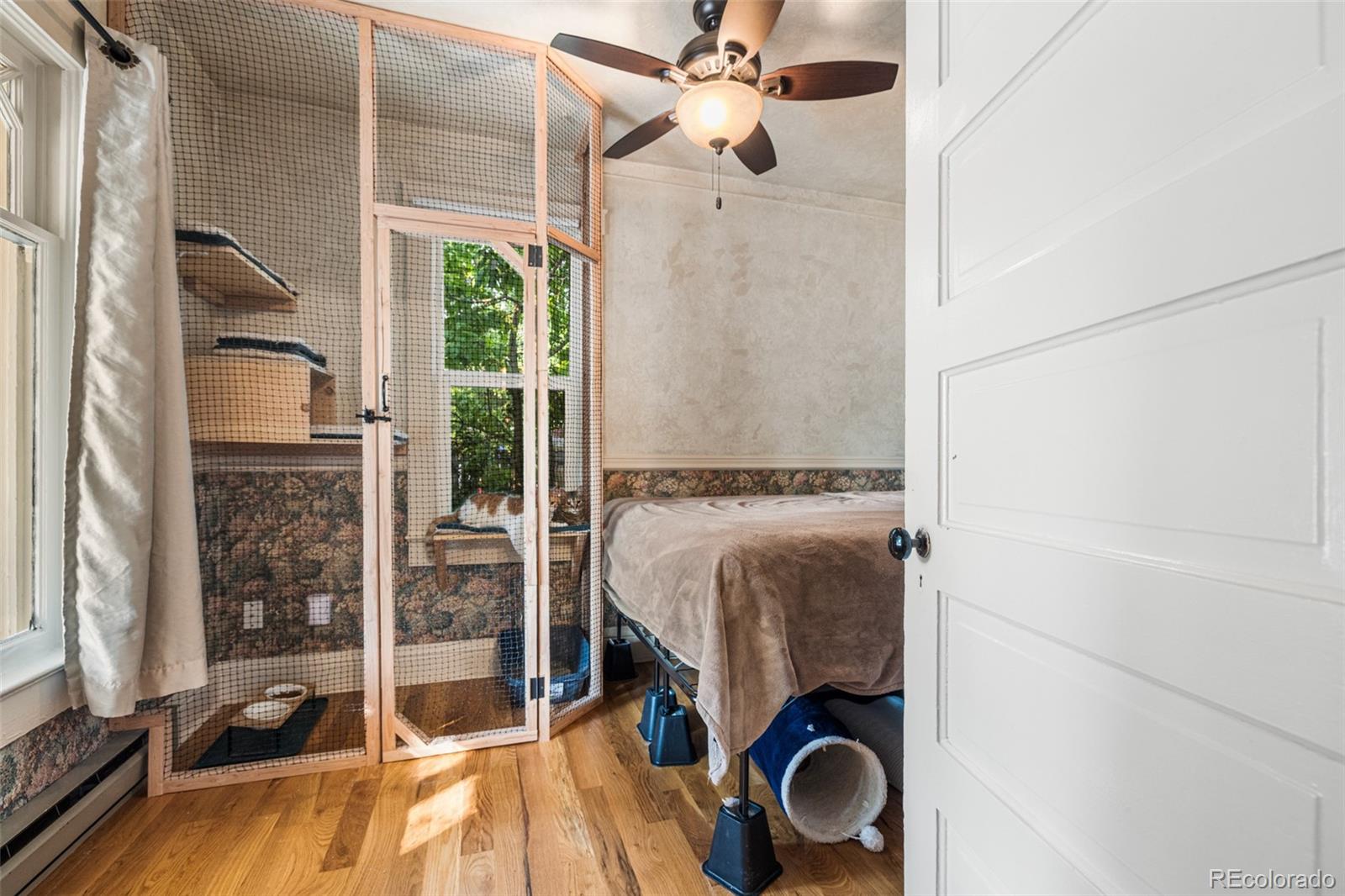 MLS Image #9 for 114 n 16th street,colorado springs, Colorado