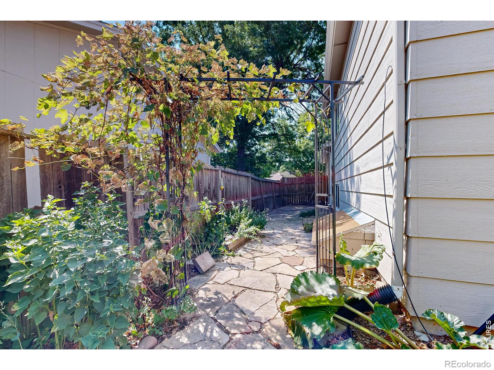 MLS Image #34 for 2418  sunstone drive,fort collins, Colorado
