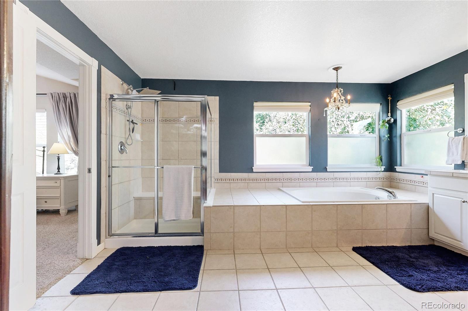 MLS Image #33 for 10727  addison court,highlands ranch, Colorado