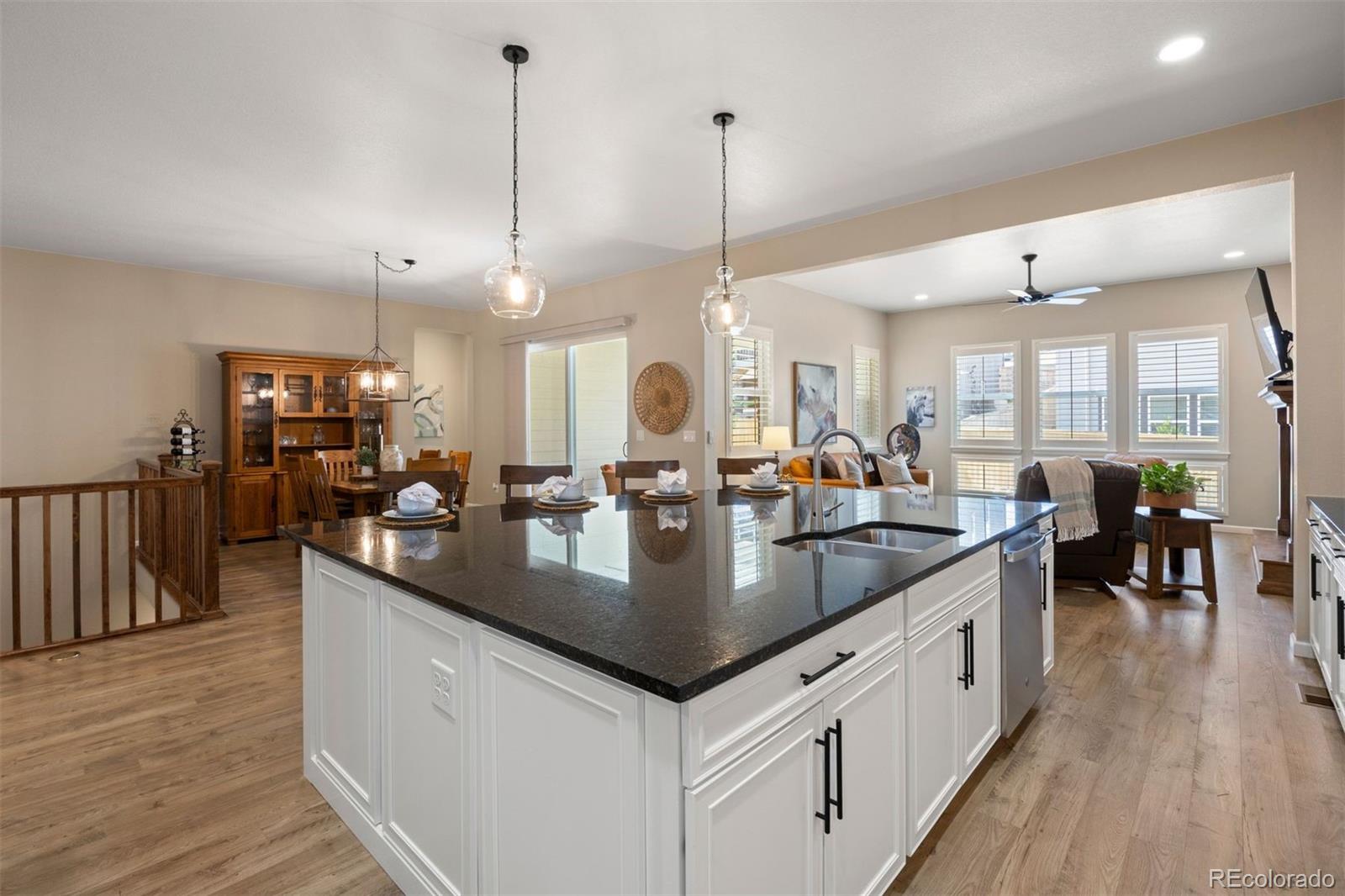 MLS Image #10 for 17106  birds foot avenue,parker, Colorado