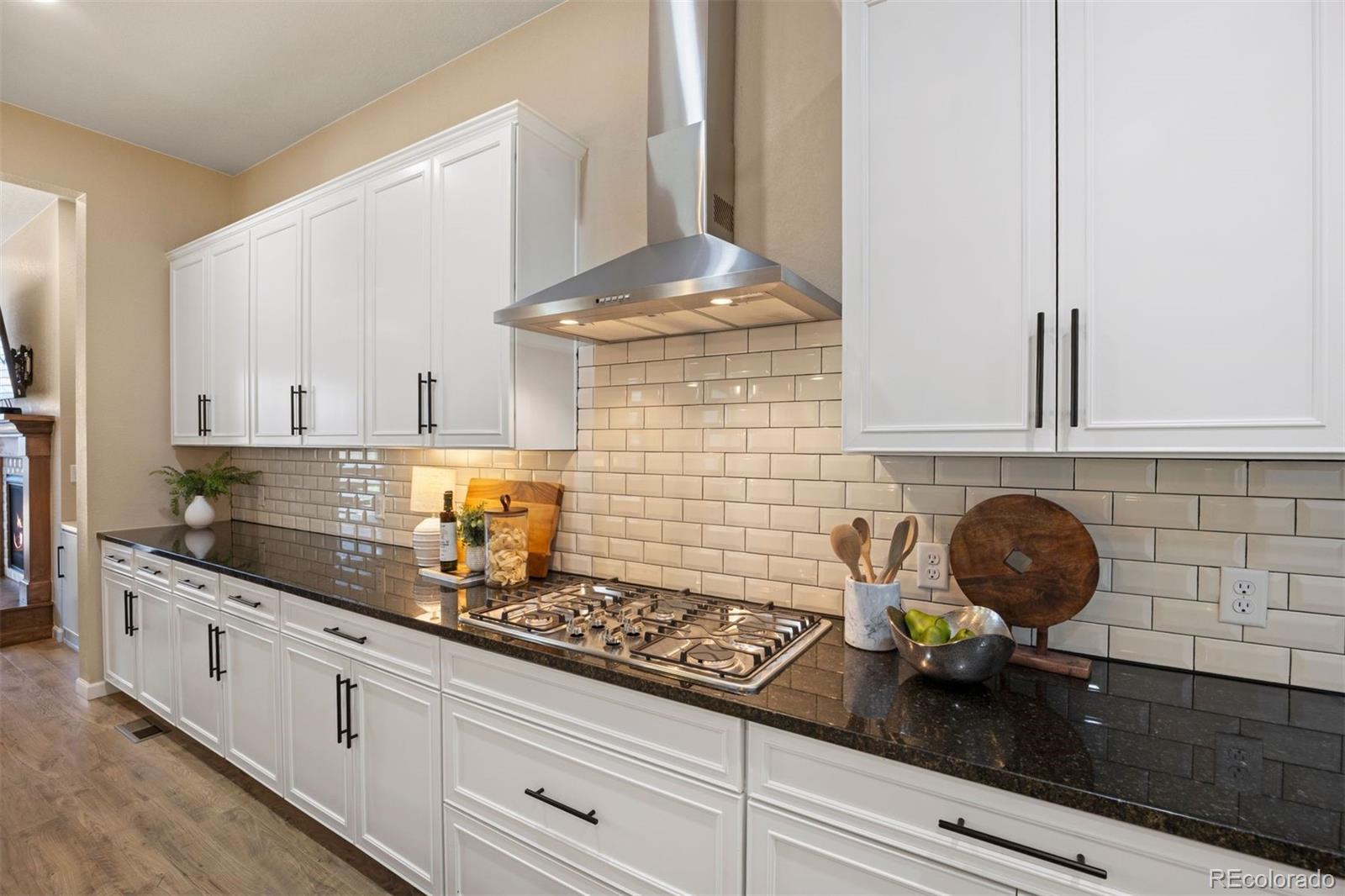 MLS Image #2 for 17106  birds foot avenue,parker, Colorado