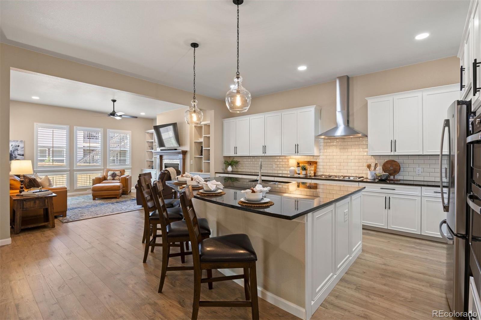 MLS Image #8 for 17106  birds foot avenue,parker, Colorado