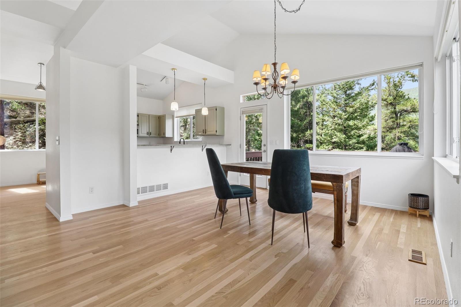 MLS Image #12 for 130  jackpine lane,evergreen, Colorado