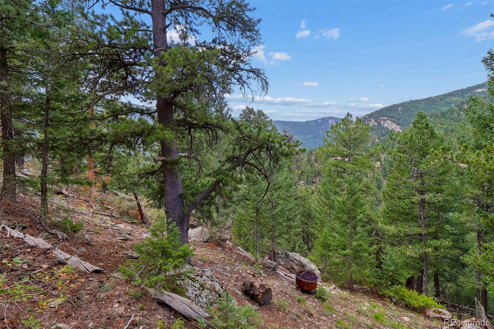 MLS Image #8 for 130  jackpine lane,evergreen, Colorado