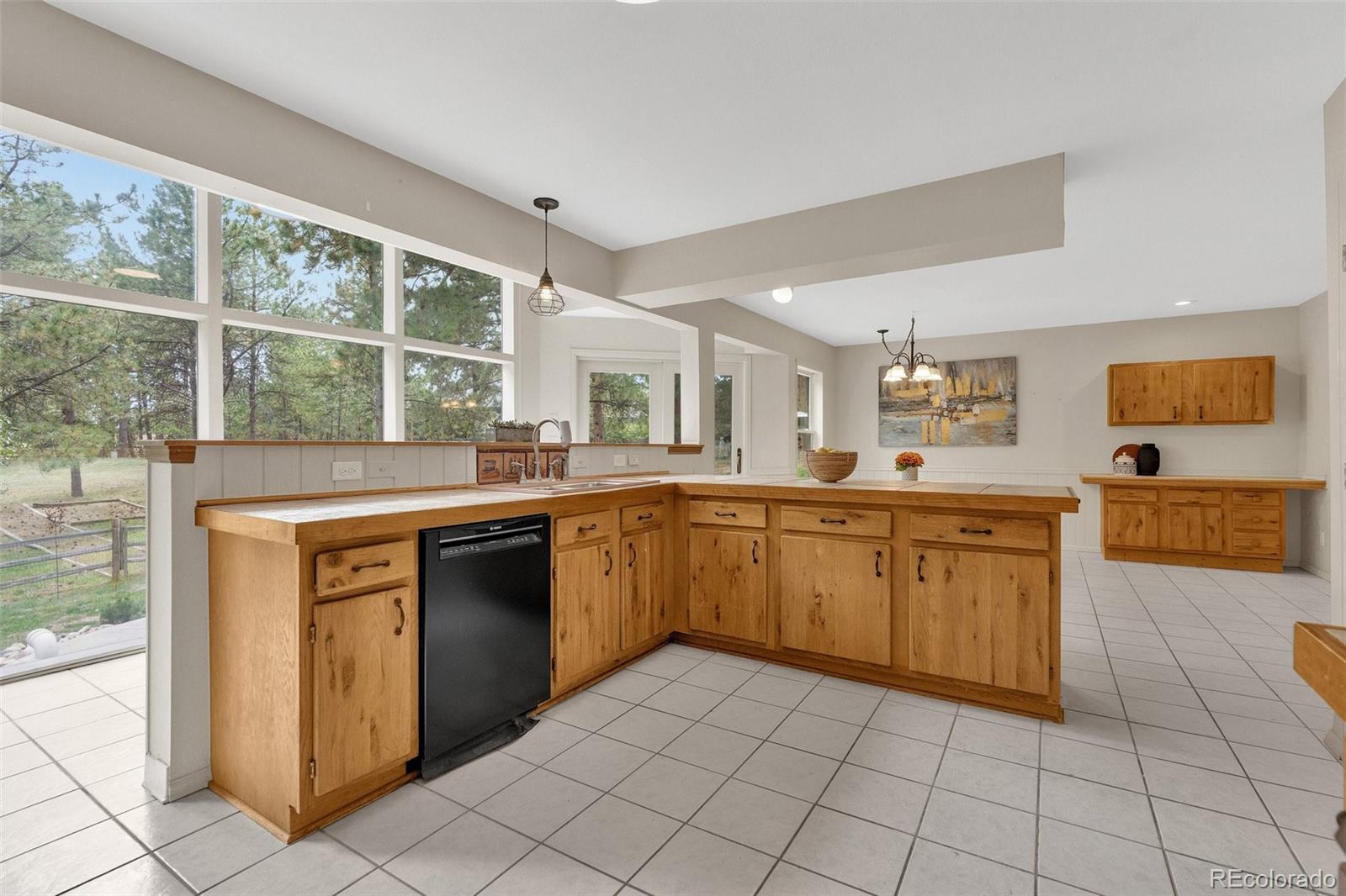 MLS Image #12 for 19900  indian summer lane,monument, Colorado