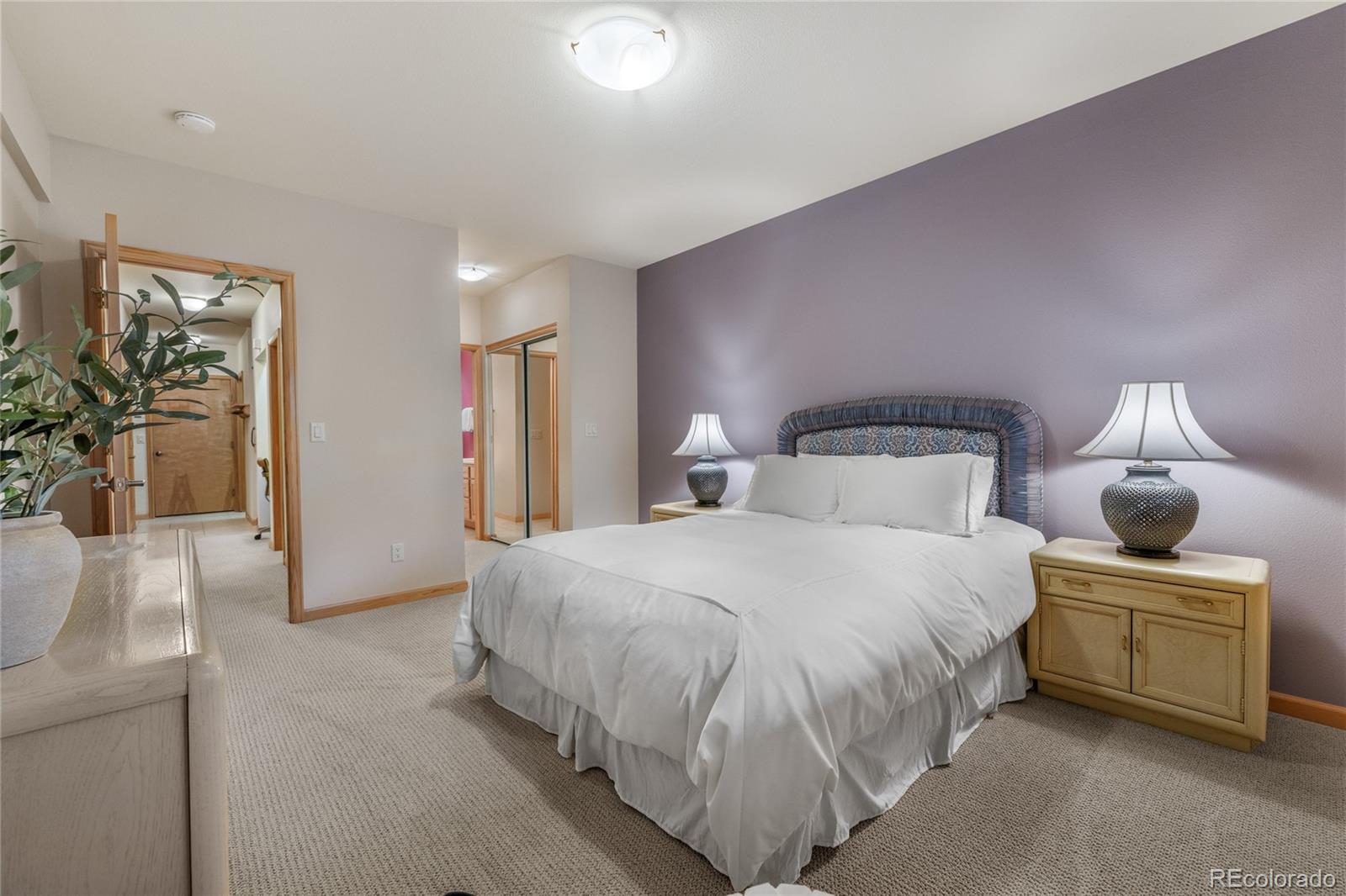 MLS Image #19 for 4  hawn drive,frisco, Colorado