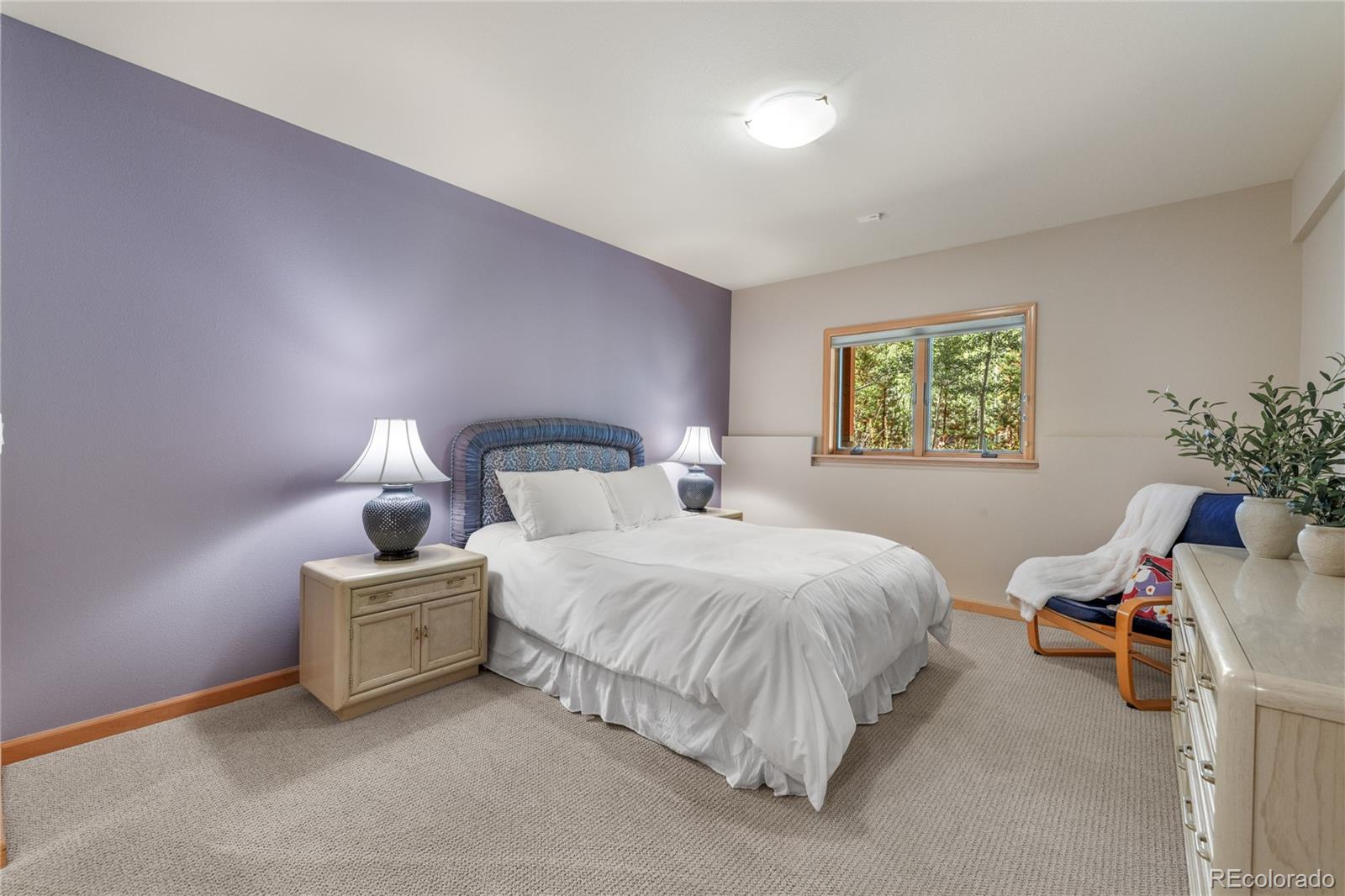 MLS Image #20 for 4  hawn drive,frisco, Colorado