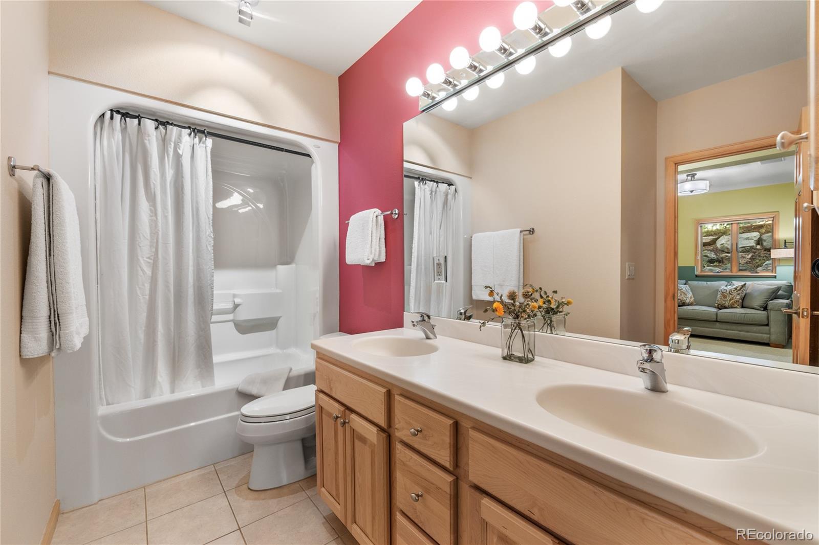 MLS Image #21 for 4  hawn drive,frisco, Colorado