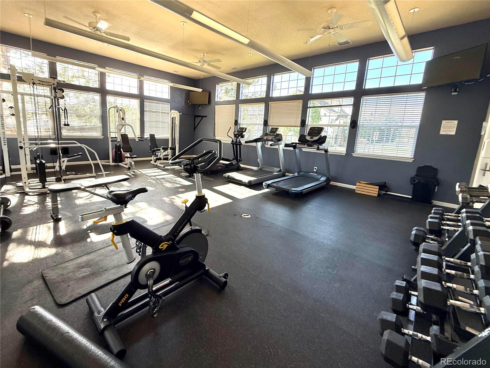 MLS Image #17 for 494  black feather loop,castle rock, Colorado