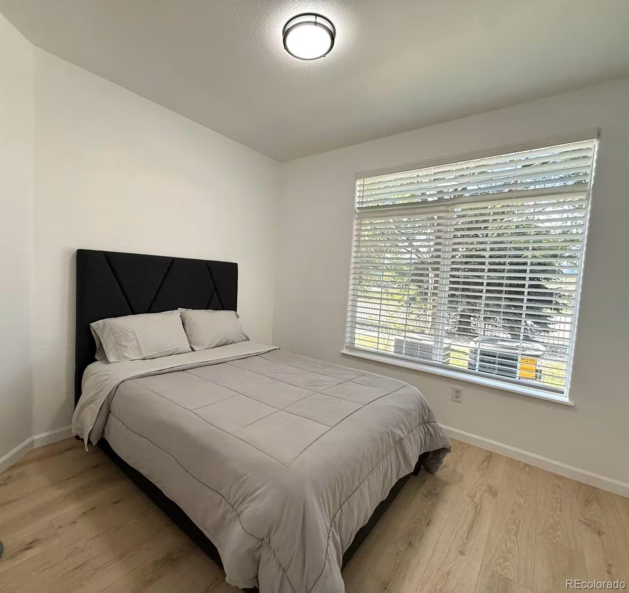 MLS Image #9 for 494  black feather loop,castle rock, Colorado