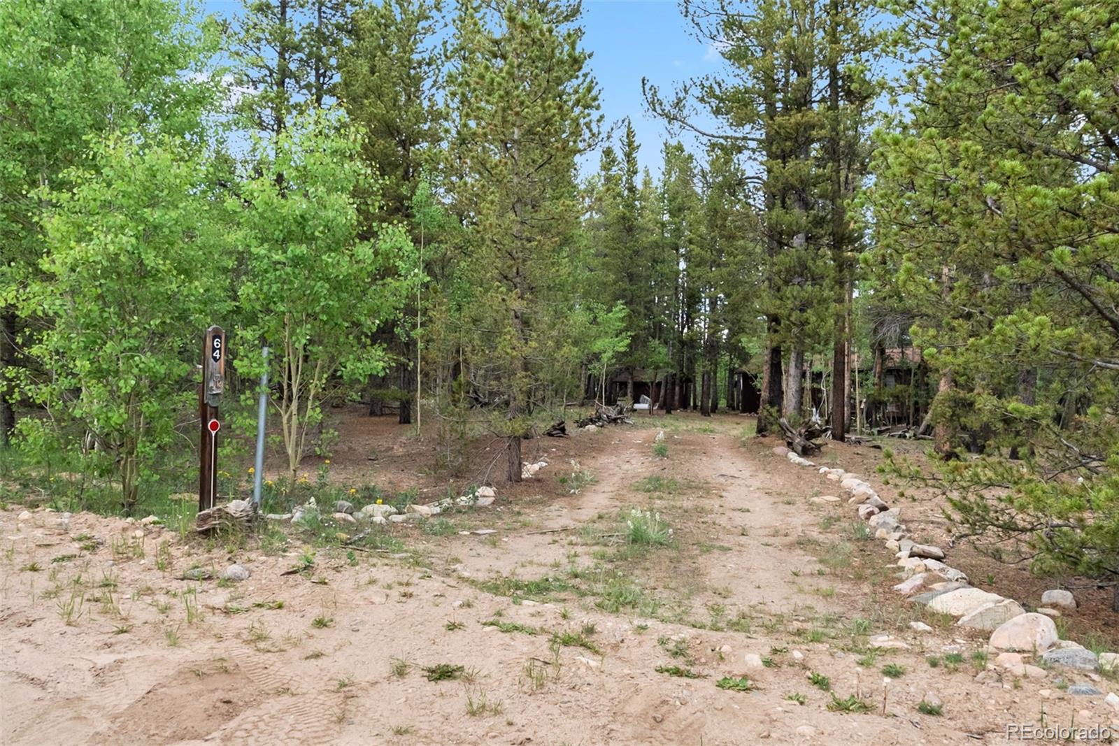 MLS Image #7 for 64  ski doo road,fairplay, Colorado