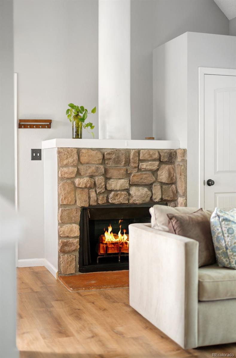 MLS Image #17 for 4206 s eldridge street,morrison, Colorado