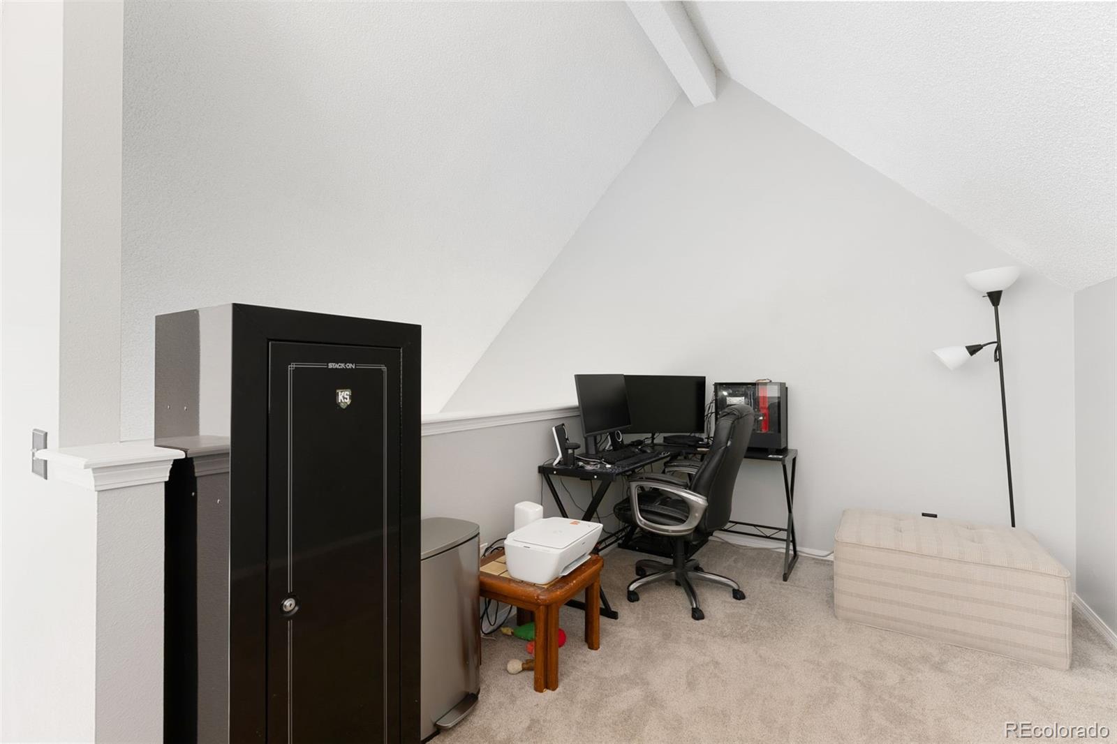 MLS Image #30 for 4206 s eldridge street,morrison, Colorado