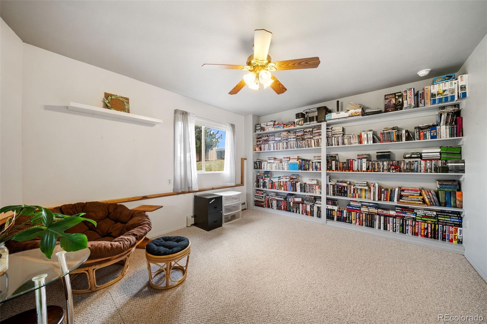 MLS Image #17 for 55  crystal peak drive,lake george, Colorado