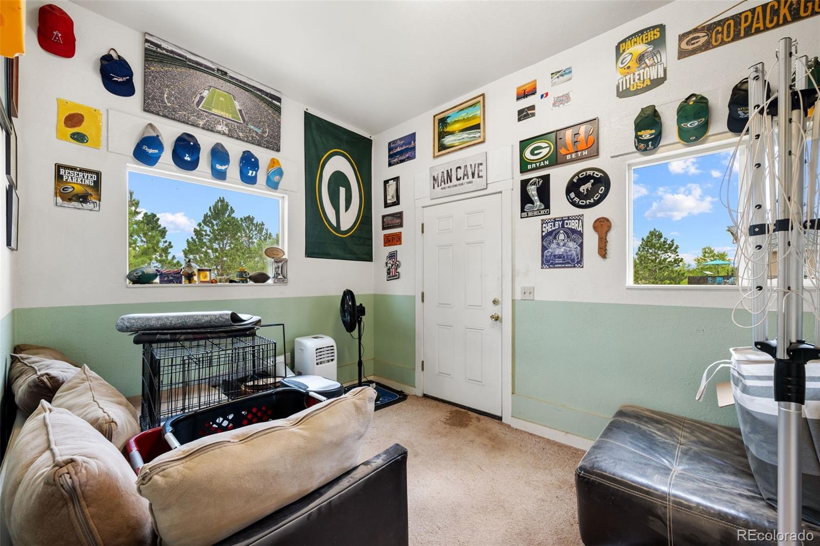 MLS Image #22 for 55  crystal peak drive,lake george, Colorado